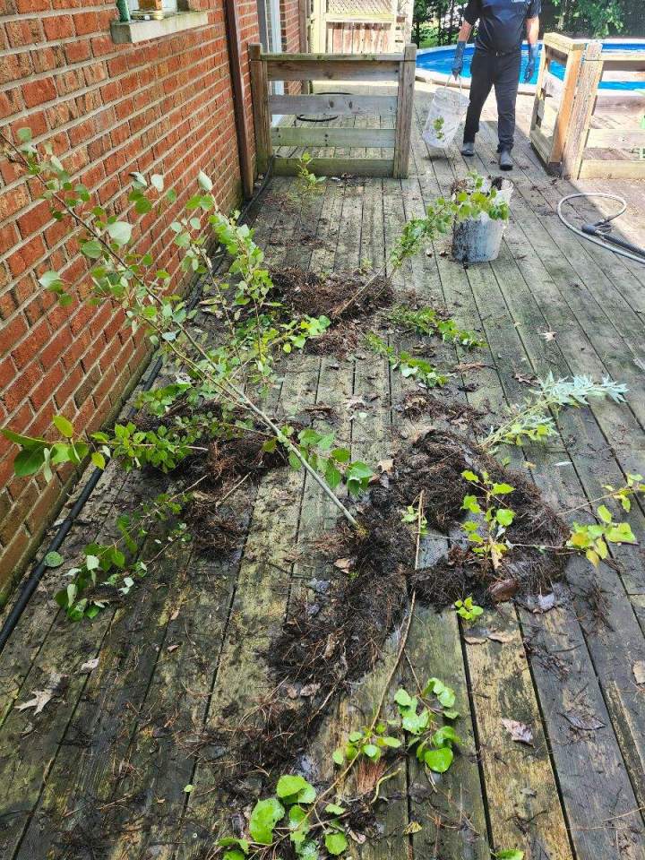 Nettoyage de gouttière Vaudreuil-Dorion